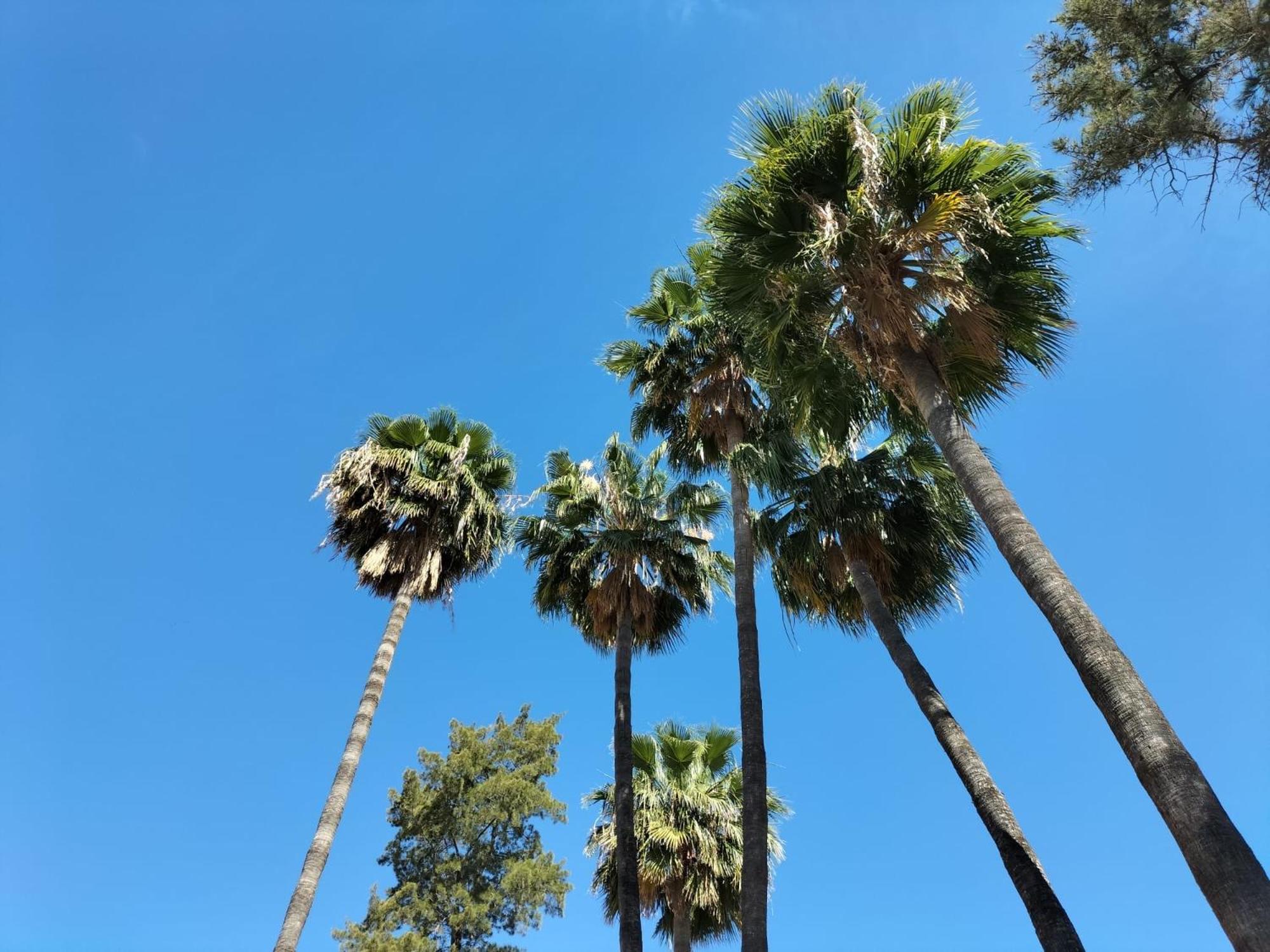 Hotel Vas Malaga Ciudad Zewnętrze zdjęcie
